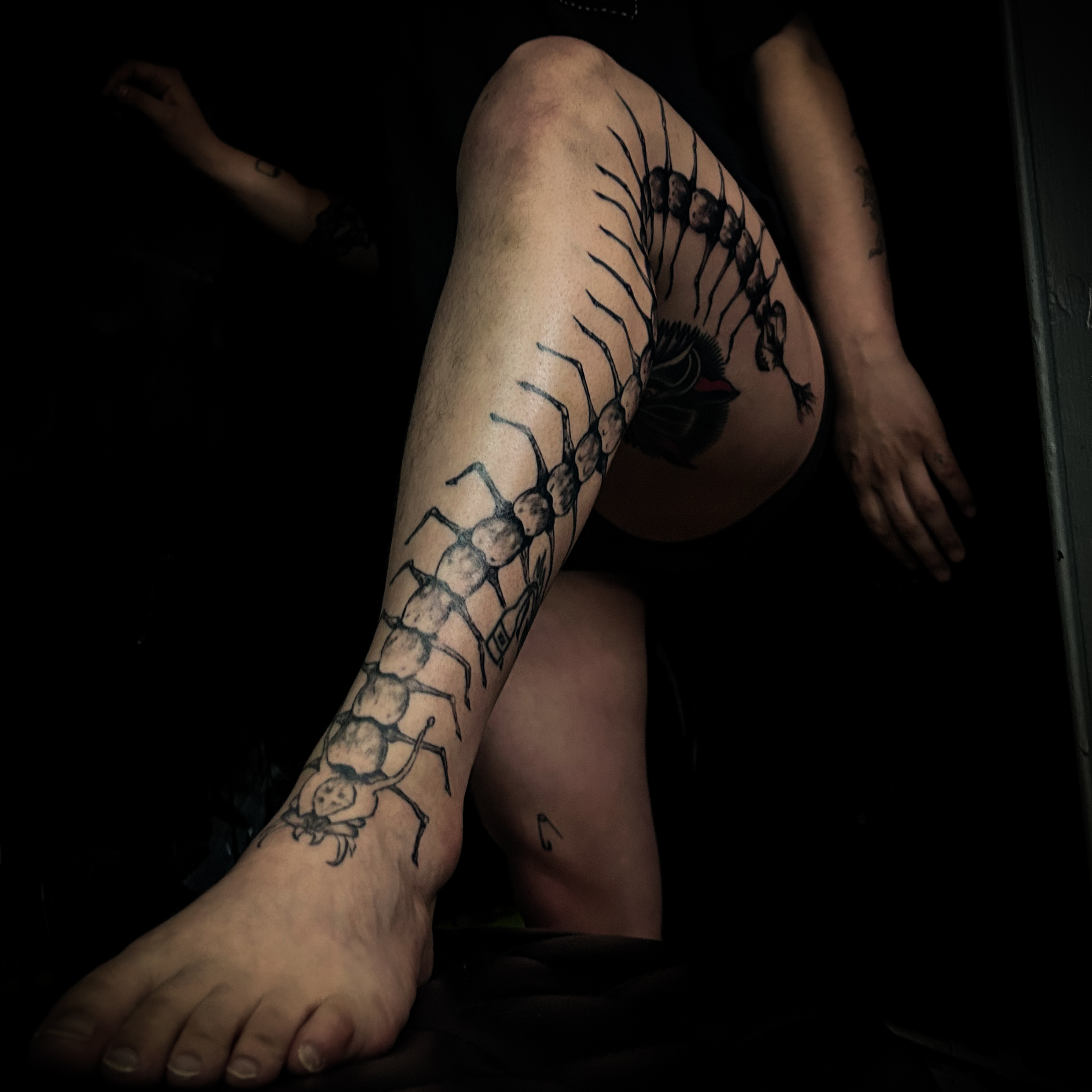 Blackwork study by Ferlucy